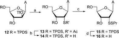 Reagents and conditions: (a) CH3COSK–DMF; (b) NH3–MeOH; (c) DEAD–PrSH–THF; (d) NH4–MeOH.