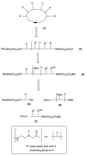 Retrosynthetic pathway for compound 1.