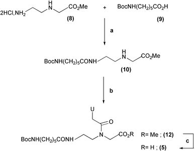 Synthesis of the N-acylated uracil PNA monomer 5. Reagents and conditions:
						(a) i. 9, DCC–HOSu, DMF, 12 h, rt. ii. −15 °C, 8, NMM, DMF. (b)
						11, Brop, TEA, CH2Cl2. (c) 1 M LiOH, dioxane.