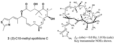 Solution conformation of (S)-10-methyl epothilone C.
