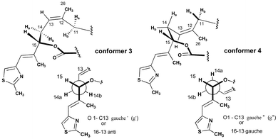 Conformation of the C11–C14 region of epothilones.