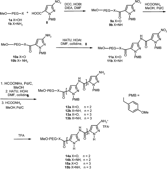 Peg Supported Synthesis Of Pyrazole Oligoamides With Peptide B Sheet Affinity Organic Biomolecular Chemistry Rsc Publishing Doi 10 1039 Bg