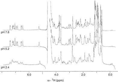 600 MHz 1H-NMR spectra of daptomycin (0.8 mM) in 2H2O, measured at selected pH values 7.8, 5.2 and 2.4, at 293 K. The spectrum at pH 2.4 shows considerable line broadening due to aggregation of daptomycin.