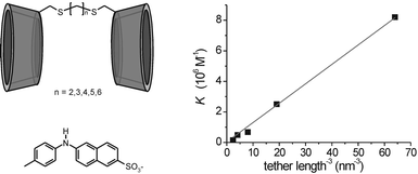 Plot of binding affinity versus inverse cubic tether length for complexation of TNS by β-cyclodextrin dimers with variable tether length. Host and guest structures are shown on the left.