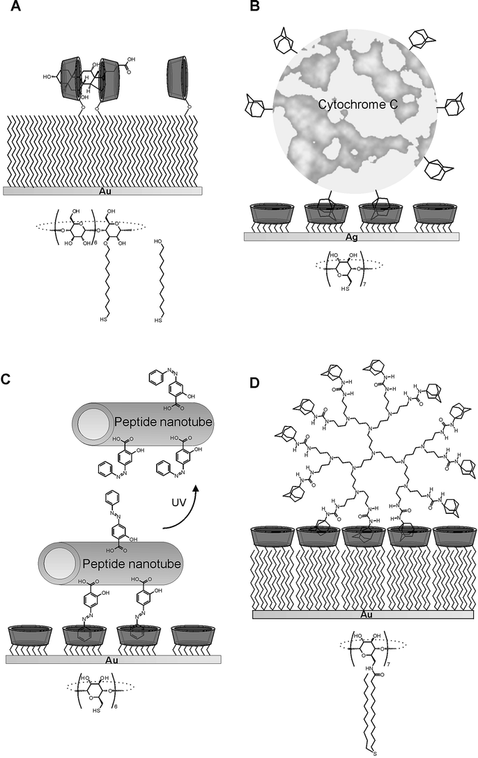 Multivalent interactions at cyclodextrin SAMs: divalent binding of steroids (A),98 immobilization of cytochrome C at silver electrodes (B),99 the positioning of peptide nanotubes (C),100 and multivalent binding of dendrimers (D).88,101 Actual adsorbate structures are shown under the schematic representations.
