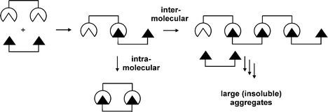 Multivalent vs. intermolecular binding.