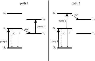 Two possible ways of populating the upper triplet state T2.
