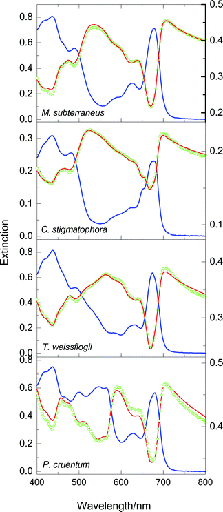 Spectra of cell suspensions of M. subterraneus, C. stigmatophora, , T. weissflogii and P. cruentum. The simulation in the top panel is a one-parameter fit; the others are all two-parameter fits. Other details as in Fig. 4.