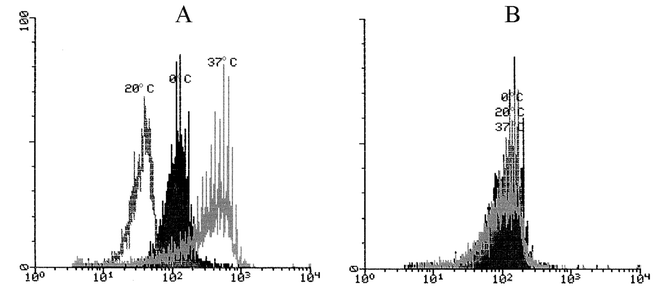 Histograms of anti-ssDNA-specific fluorescence from partially denatured nuclei of mononuclear leukocytes stored for 1 h at different temperatures (shown above the corresponding peaks) and then transferred and cultivated in supplemented RPMI medium at 37 °C for 0 (A) or 17 h (B). Abscissa: geometric mean of the specific ssDNA fluorescence; ordinate: relative cell count.
