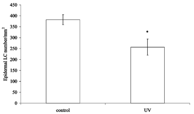 Effect of 3 weeks UVB exposure on epidermal LC numbers. Mice (2 per group) were irradiated twice a week for 3 weeks and their ears removed 24 h after the final UV exposure. Control mice were not irradiated. The epidermal sheets were removed, fixed and stained using ADP-lead; the number of ATPase+ DC was counted in 40 fields of 1 mm2 each. Results are expressed as the mean of 40 fields, error bars show the SEM. The asterisk indicates a significant (p < 0.05) difference between the irradiated and unirradiated groups.