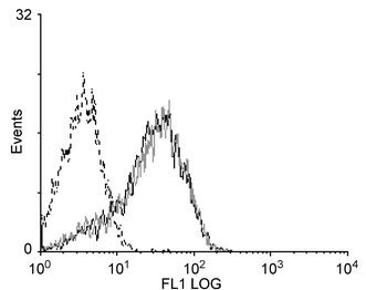 Effect of 3 weeks UVB exposure on annexin V binding to DC. Mice (8 per group) were irradiated twice a week for 3 weeks and their LN removed 42 h after the final exposure. Control mice were not irradiated. Following DC enrichment of DLN cells, the enriched populations were stained with FITC-conjugated annexin V. The fluorescence intensity of the gated DC population is shown for control (continuous black line) and irradiated mice (grey line). The fluorescence intensity of DC from unirradiated mice stained with a control antibody is also shown (dotted black line).