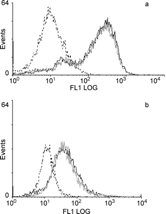 Effect of 3 weeks UVB exposure on expression of cell surface markers on DC. Mice (8 per group) were irradiated twice a week for 3 weeks and their LN removed 42 h after the final exposure. Control mice were not irradiated. Following DC enrichment of DLN cells, the enriched populations were stained for the presence of Ia (a) and CD86 (b), and analysed by flow cytometry. The fluorescence intensity of the gated DC population is shown for control (continuous black line) and irradiated mice (grey line). The fluorescence intensity of DC from unirradiated mice stained with a control antibody is also shown (dotted black line).