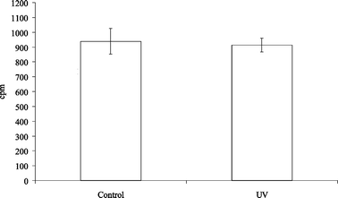 Effect of 3 weeks UVB exposure on the spontaneous proliferation of DLN cells. Mice (8 per group) were irradiated twice a week for 3 weeks and LN draining the irradiated sites removed 42 h after the final exposure. Control mice were not irradiated. The level of proliferation was assessed using 3H-thymidine incorporation. Error bars show the SEM.