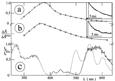 Transient absorption spectra (in argon-saturated solution) of (a) Cl2NQ and (b) vitamin K1 in MTHF at −180 °C (0.1 µs, λexc
						= 248 nm). (c) Phosphorescence emission (right) and excitation (left) spectra of vitamin K1 in air-saturated MCH (––) and NQ (⋯) at −196 °C (λexc
						= 320 nm, λem
						= 600 nm).