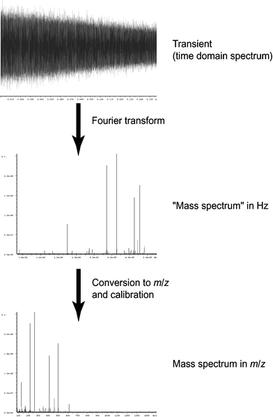 Illustration of the processing of raw data. A Fourier transform is performed on the time-domain data to convert it to the frequency domain, and this resulting spectrum is then calibrated in terms of m/z.