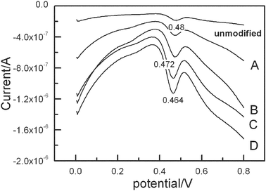 Differential-pulse voltammograms (amplitude 0.05 V, pulse period 0.2 s) on the different polyNiTSPc modified GCE in a borate buffer (pH = 7.4) with luminol and H2O2. The polymers with different thickness obtained by controlling the number of the electropolymerizing scans. A = 20 cycles, B = 40 cycles, C = 60 cycles, D = 80 cycles.