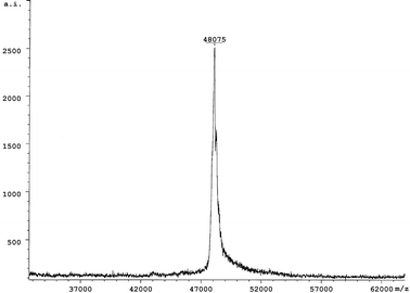 The molecular weight determination of GST-N2 protein using MALDI-TOF-MS.