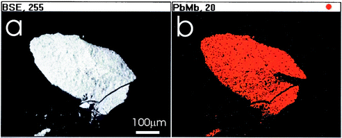 SEM (a) and EDX (b) micrographs for a typical lead white sample (Pb Mβ-emission is displayed, besides carbon and oxygen no other elements are detected).