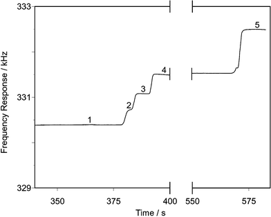 Isotachopherogram of a separation of a sample containing 10 mg dm−3 bromide, 20 mg dm−3 iodide and 100 mg dm−3 chloride. Leading electrolyte 1.5 mmol dm−3 HNO3, 3.5 mmol dm−3 In(NO3)3, 1 g dm−3 HEC, pH 3.0 (glycylglycine). Terminating electrolyte 20 mmol dm−3 cyanoacetic acid. 1 = Leading electrolyte; 2 = iodide; 3 = bromide; 4 = chloride; 5 = terminating electrolyte.