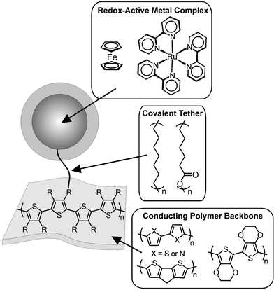 Molecular components of outer sphere metallopolymer systems.