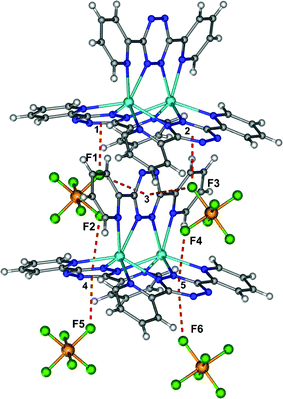 Representation of the interactions of the cations and anions in [Ag2(bptz)3][AsF6]2. Anion-tetrazine ring contacts: F1–centroid 1 = 2.942 Å, F1–centroid 3 = 2.964 Å, F2–centroid 4 = 3.040 Å, F3–centroid 2 = 2.946 Å, F3–centroid 3 = 2.914 Å, F4–centroid 4 = 2.998 Å, F5–centroid 4 = 2.942 Å, F6–centroid 5 = 3.012 Å.