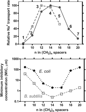 
          Top. Plot (open squares) of Na+ transport from liposomes mediated by 1–5 as determined by the 23Na NMR method. Plot (filled circles) of fractional Na+ release at 1500 seconds from phospholipid vesicles vs. the number of methylenes in the spacer chains as measured for 1–7 by ion selective electrode methods. Bottom. Activity (expressed as minimum inhibitory concentration, or MIC, in μM) of 1–7 against the Gram-negative bacterium E. coli
					(filled circles) and the Gram-positive bacterium Bacillus subtilis
					(open squares).