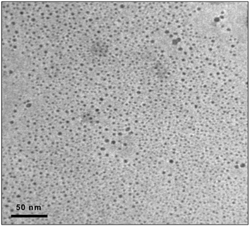 TEM image of an aqueous solution with unaggregated MES-CdSe QDs.