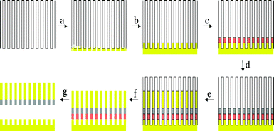 Schematic of nanobarcode synthesis. (a) Gold sputtering onto an alumina membrane. (b) Electrodeposition of gold plugs. (c) Electrodeposition of a sacrificial layer of copper. (d) Electrodeposition of nickel segment. (e) Electrodeposition of gold segment. (f) Selective dissolution of alumina. (g) Selective dissolution of copper.