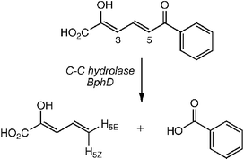 Reaction catalysed by C-C hydrolase BphD. H-3 and H-5 exchanged with 2H prior to reaction in 1H2O.