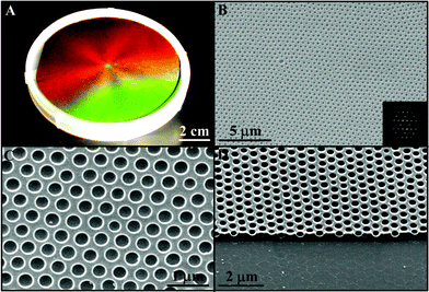 Wafer-size period microvial arrays. (A) Photograph of a 4 inch sample templated from 320 nm silica spheres illuminated with white light. (B) Typical top-view SEM image and its FFT of the sample shown in (A). (C) Higher magnification SEM image. (D) Side-view SEM image.