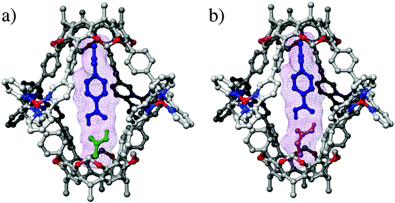 Optimized structures of co-encapsulation complexes of 1 with 14 and: a) acetic acid; b) propionic acid.