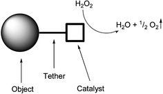 Design of a system propelled by a catalase mimic.