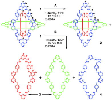 Schematic representation of 1 and 2, in which only the blue ring depicts all of the atoms and bonds present in the macrocycles that make up the BR structure. Reduction of the imine bonds in 1 followed by demetallation of the BR complex in an ethanolic solution (A) at 22 °C, produces the demetallated BR 2 along with 3 and 4, and (B) at 80 °C, only the macrocycle 3 and linear fragment 4.
