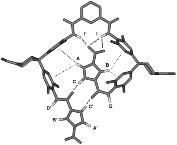 The three-dimensional structure of foldamer 1b, calculated using the folding-induced changes in chemical shift.