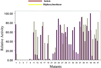 Comparison of the relative activities of specific variants of P450CAM using indole (oxidation to indigo) and diphenylmethane (hydroxylation) as substrates.