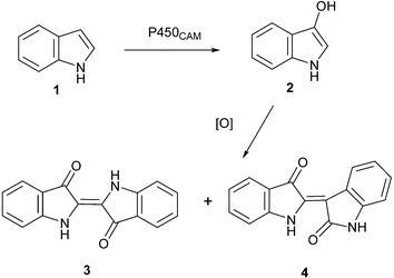 scheme, filename = b506156c-s1.gif