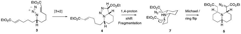 Proposed mechanism for the formation of 5.