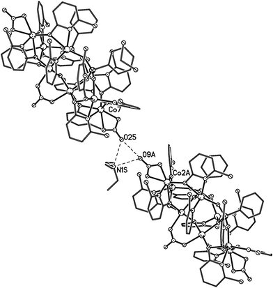 The H-bonded link of two anions of 1 in the crystal, via the [HNEt3] cation.