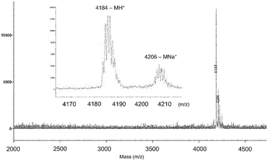 MALDI mass spectrum of the differentiated, dye-labelled dendrimer 13 showing efficient functionalization and monodispersity.