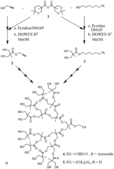 Synthesis of hydrophilic and hydrophobic dendrons with either acetylene 4 or azide 5 groups at the focal point.