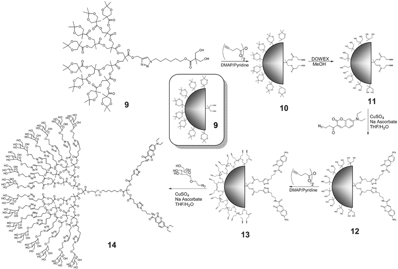 Synthesis of multivalent, asymmetrical dendrimer 14 containing 16 mannose units and 2 coumarin chromophores.
