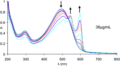 UV–visible spectra of polythiophene 1 in THF/water mixtures, ranging from 96%–100% water.