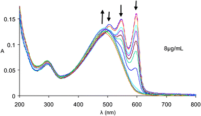 UV–visible spectra of polythiophene 1 in water from 10 °C to 60 °C.