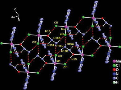 View of the staircase of [(2-[3-(2-pyridyl)pyrazol-1-ylmethyl]pyridine)MnCl2(EtOH)] molecules linked via C–H⋯Cl and O–H⋯Cl hydrogen bonding interactions.46