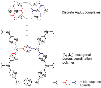 Schematic representation of the relationship between the discrete bowl-shaped {Ag4L3} complexes and chickenwire {Ag4L3}n polymers.34
