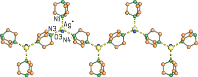 The coordination network in Ag[N(CH2CH2)3N]2[CH3COO]·5H2O. Note the chain of Ag–[N(CH2CH2)3N]–Ag–[N(CH2CH2)3N]–Ag with each silver atom carrying an extra pendant N(CH2CH2)3N ligand and a coordinated water molecule giving a tetrahedral coordination geometry.53