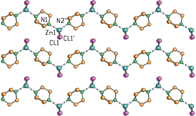 The zig-zag coordination network present in crystals of Zn[N(CH2CH2)3N]Cl2 as obtained from solution crystallization.53