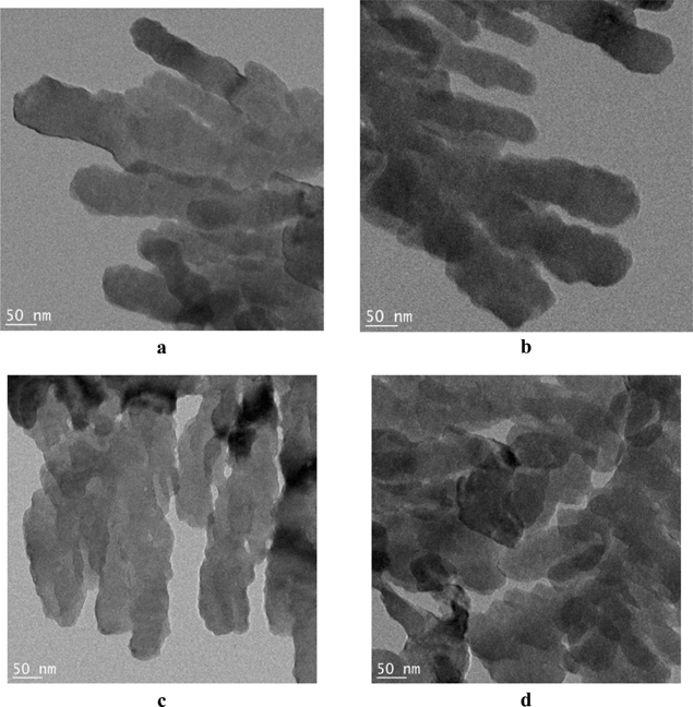 TEM images of BaSO4 nanoribbons grown in the surface film (nanomangle) in the reactor.56