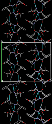 Crystal packing of methyl(R,R,R,R)-2-[2-({2′-[1-(1-methoxycarbonylethylcarbamoyl)-3-methyl-butylcarbamoyl]biphenyl-2-carbonyl}amino)-4-methylpentanoylamino]propanoate showing the supramolecular left-handed helix (M-configuration).70