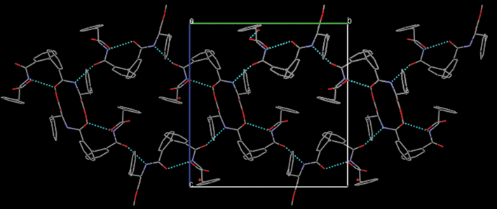 View along the a-axis of the crystal packing of methyl (S,S)-2-{[2′-(1-methoxycarbonyl-2-phenylethylcarbamoyl)biphenyl-2-carbonyl]amino}-3-phenylpropanoate showing the array of H-bonds.70